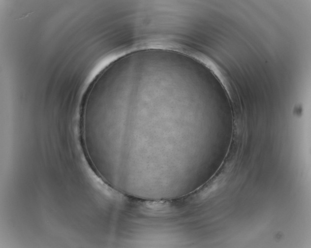 X0000091001147200708161933