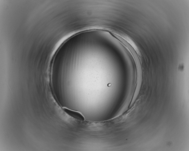 X0000091001148200708161933