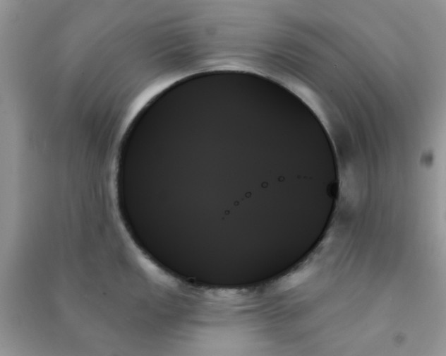 X0000091001149200708161933