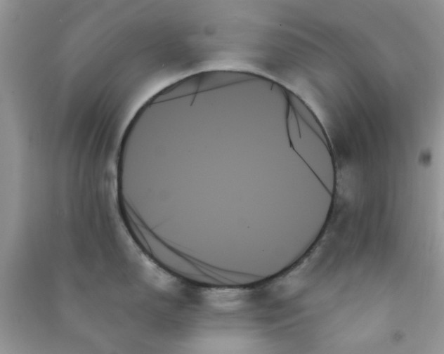 X0000091001150200708161933