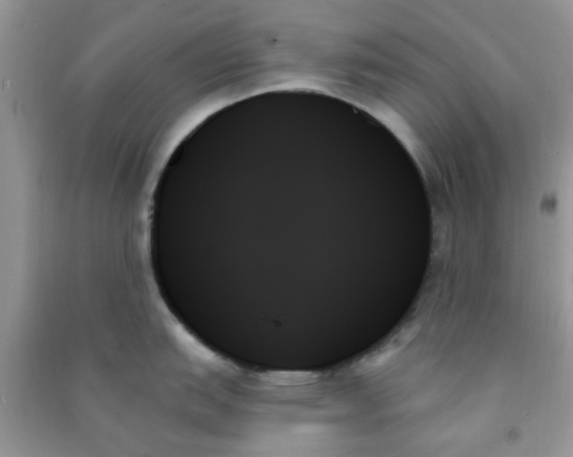 X0000091001151200708161933