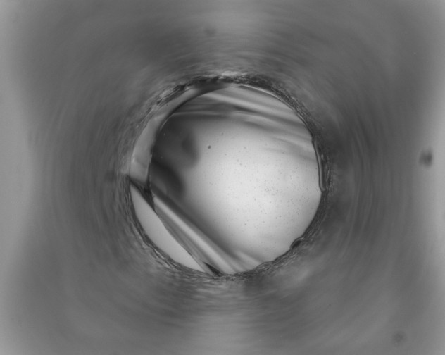 X0000091001153200708161932