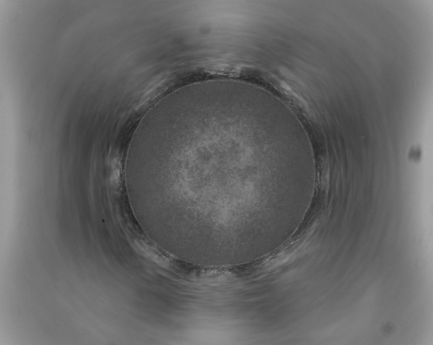 X0000091001154200708161932