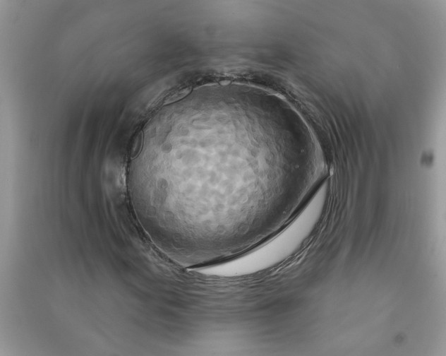 X0000091001155200708161932