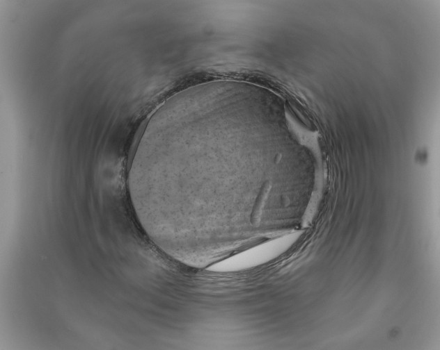 X0000091001156200708161932