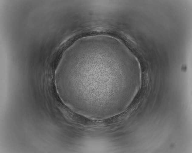 X0000091001158200708161932