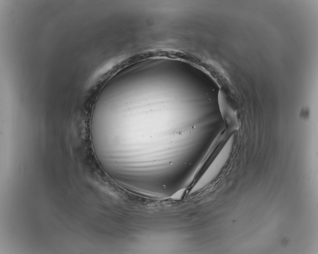 X0000091001159200708161932
