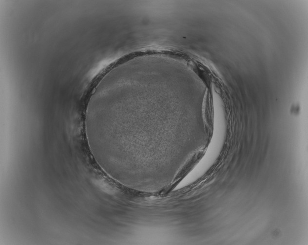 X0000091001160200708161932