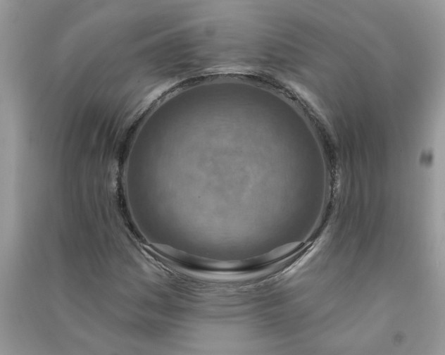 X0000091001161200708161932