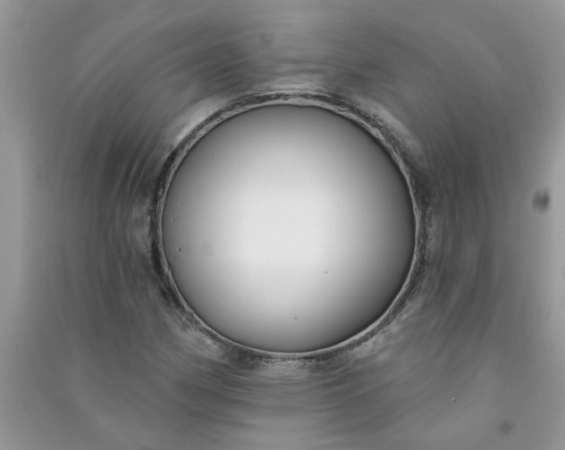 X0000091001162200708161932
