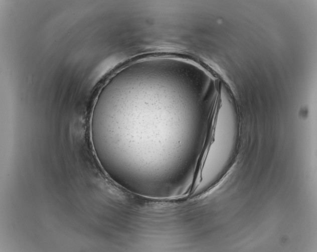 X0000091001163200708161932