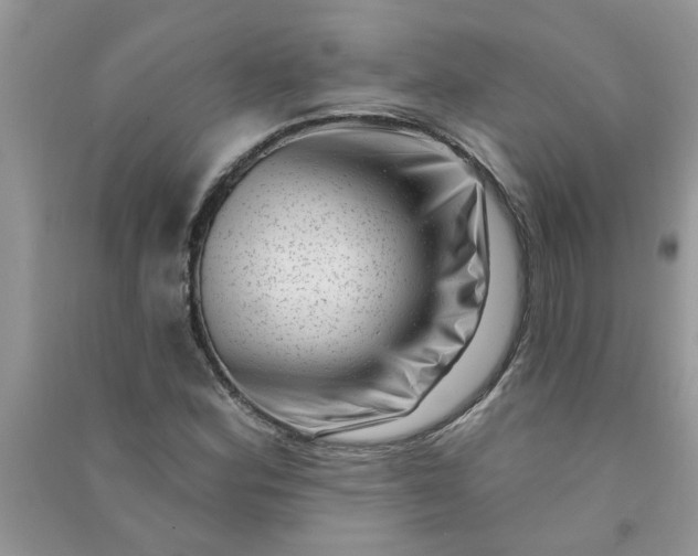 X0000091001164200708161932