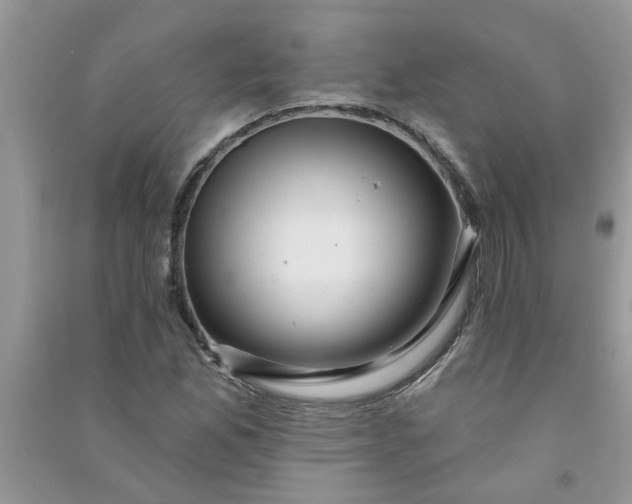X0000091001165200708161932