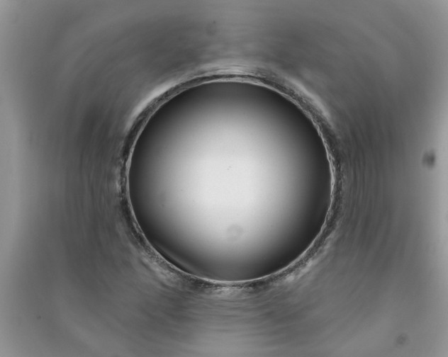 X0000091001166200708161932
