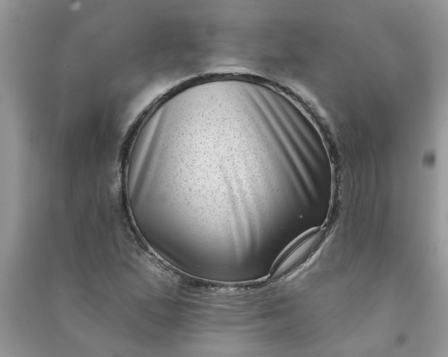 X0000091001167200708161932