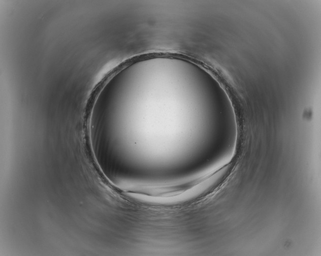 X0000091001168200708161932