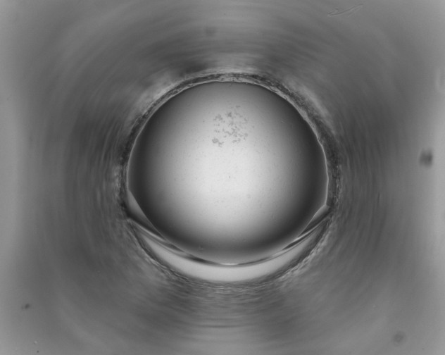 X0000091001169200708161932