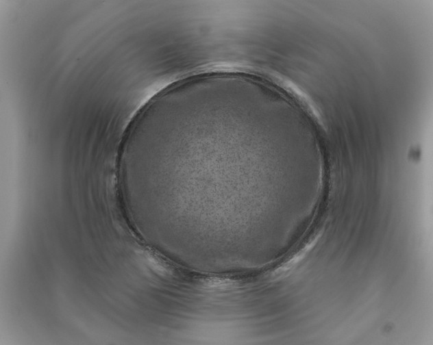 X0000091001170200708161932