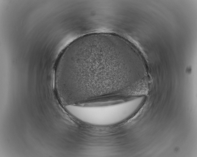 X0000091001171200708161932