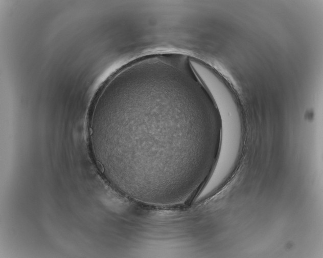 X0000091001173200708161932