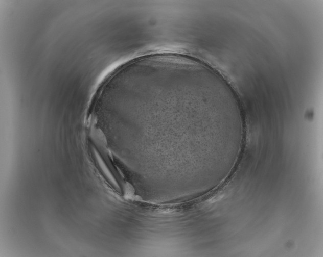 X0000091001174200708161932