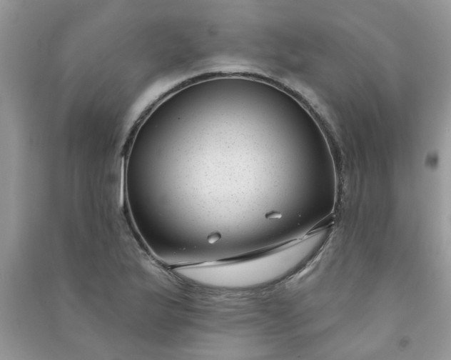 X0000091001175200708161932
