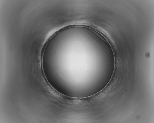 X0000091001176200708161932