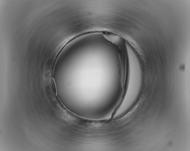 X0000091001177200708161932