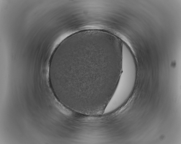 X0000091001179200708161932