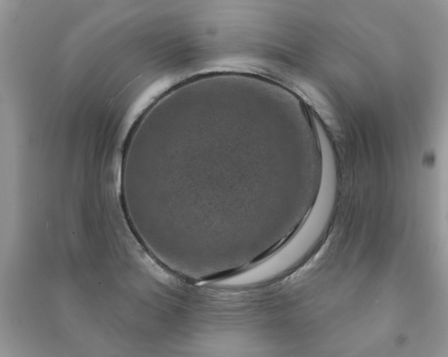 X0000091001180200708161932
