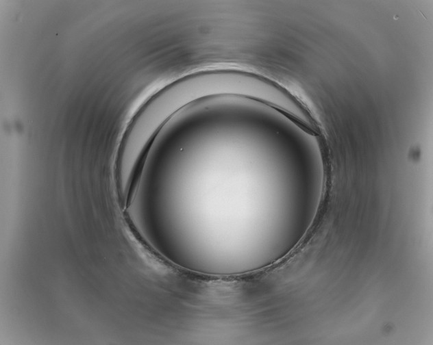 X0000091001181200708161932