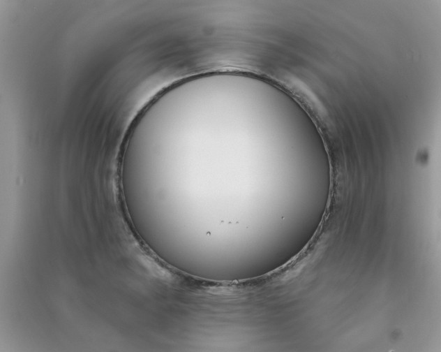 X0000091001182200708161932