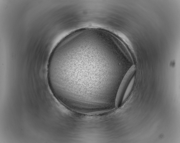 X0000091001183200708161932