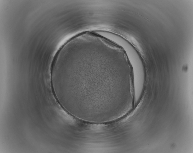 X0000091001184200708161932