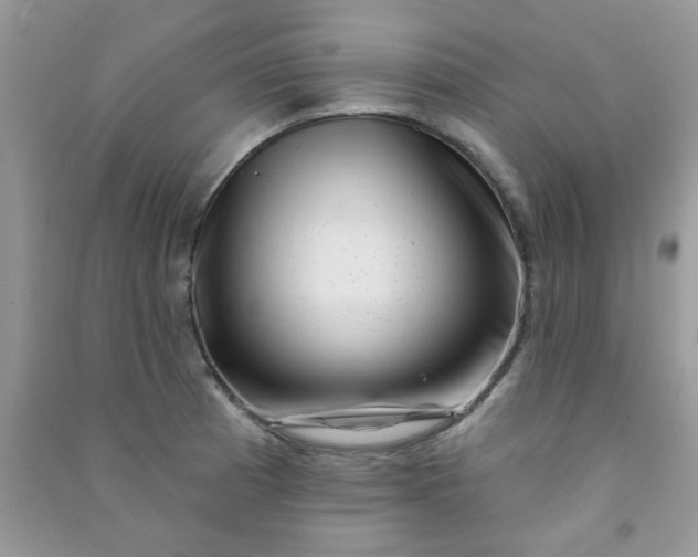 X0000091001185200708161932