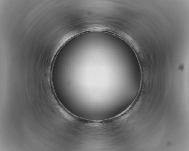 X0000091001186200708161932