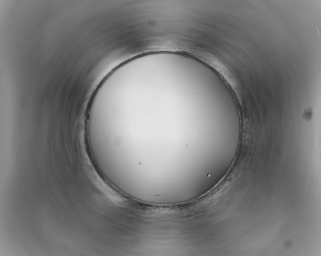 X0000091001187200708161932