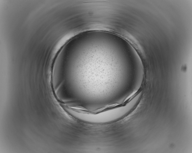 X0000091001188200708161932