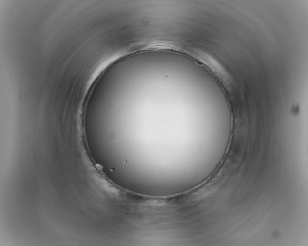 X0000091001190200708161931