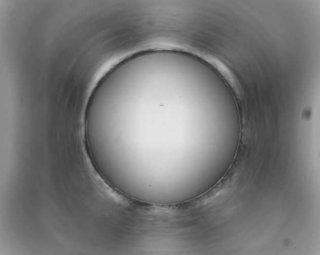 X0000091001191200708161931