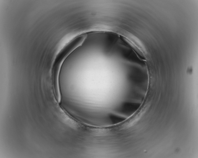 X0000091001192200708161931
