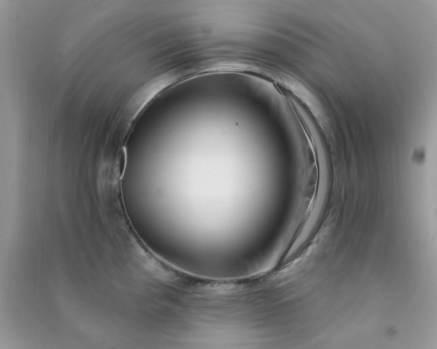 X0000091001193200708161931