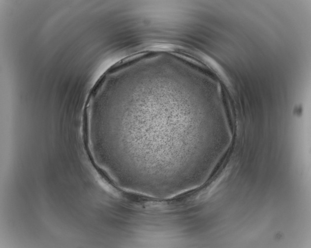 X0000091001194200708161931