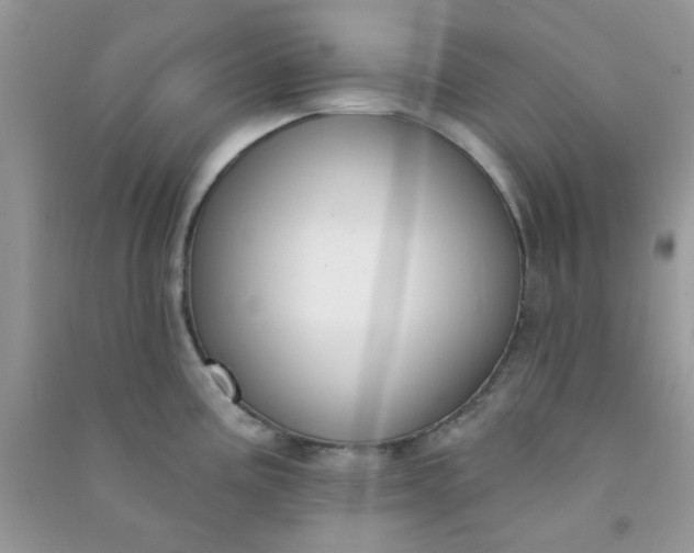 X0000091001195200708161931