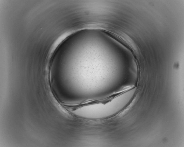 X0000091001196200708161931