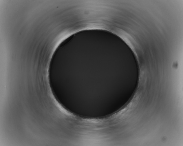 X0000091001197200708161931