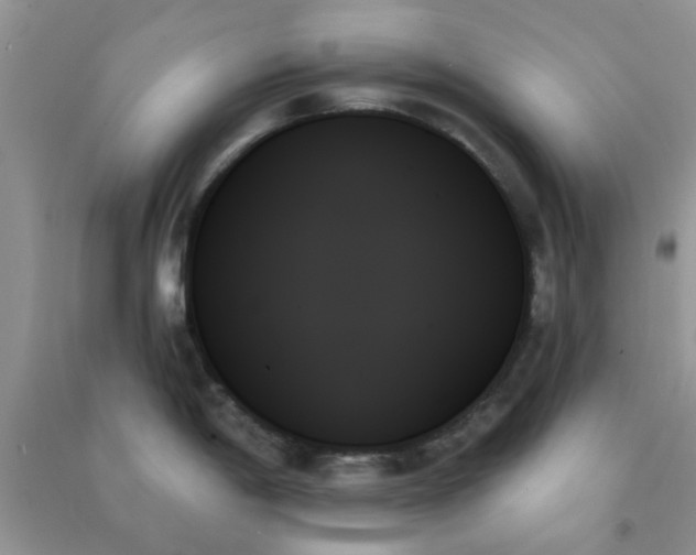 X0000091001198200708161931