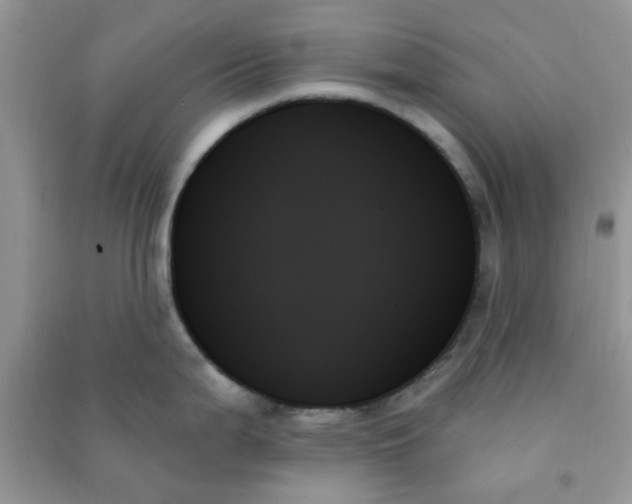 X0000091001199200708161931