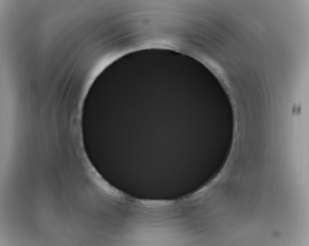 X0000091001200200708161931