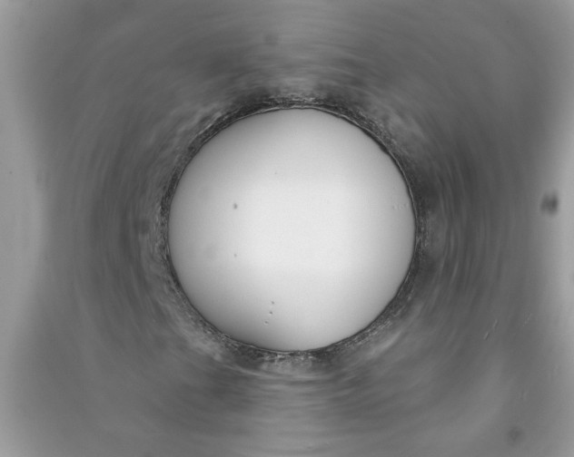X0000091001201200708161931